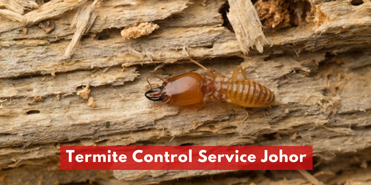 List Of Company Termite Control In Johor